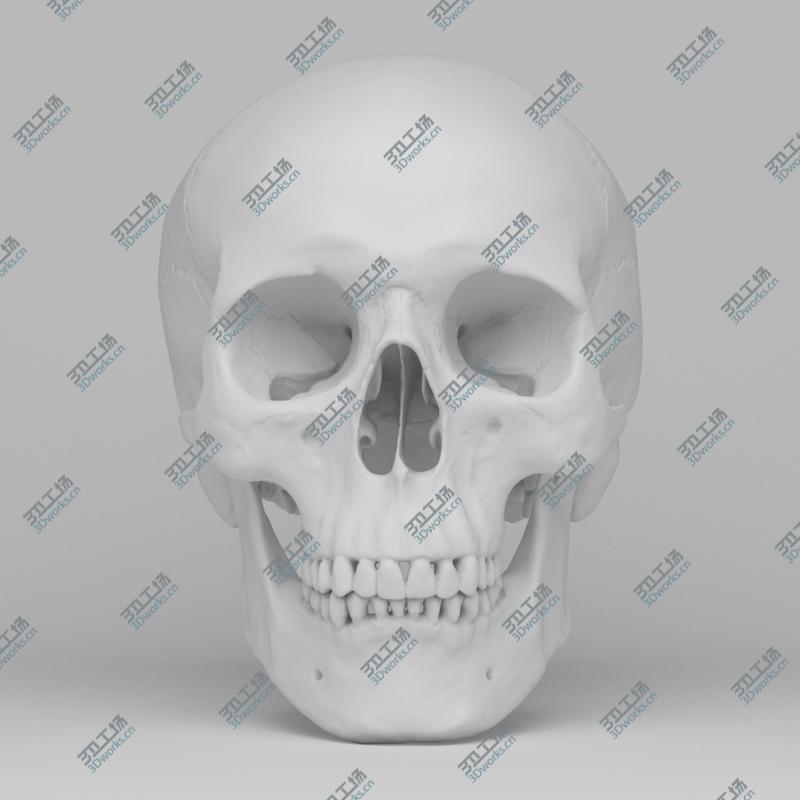images/goods_img/202104094/Human Skull/3.jpg
